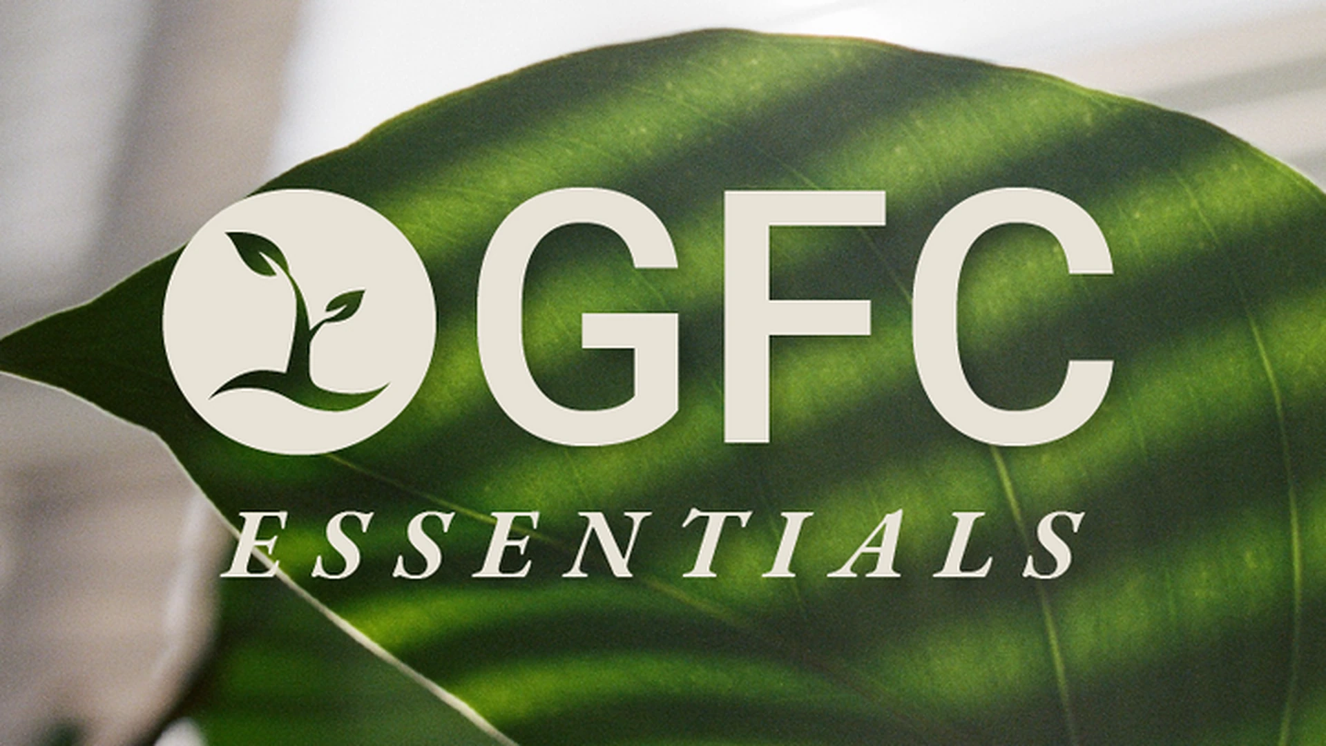 GFC Essentials