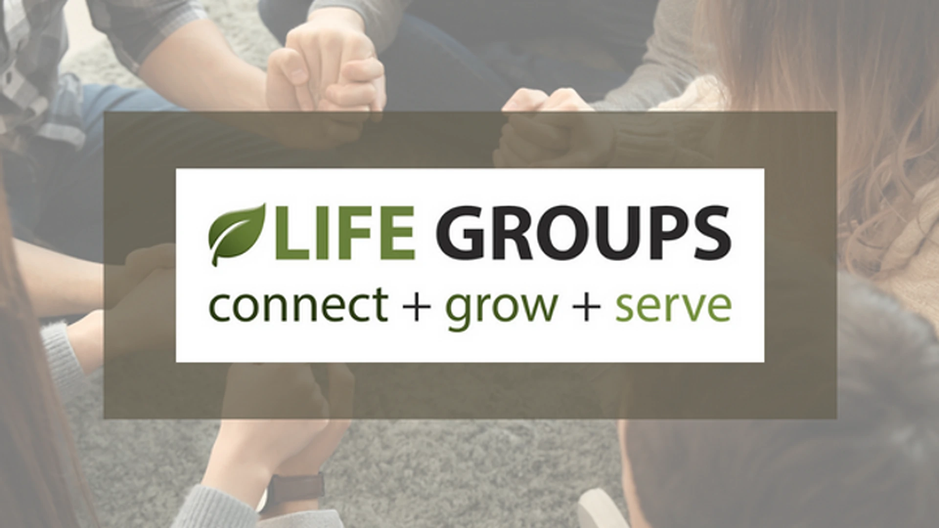 Life Groups