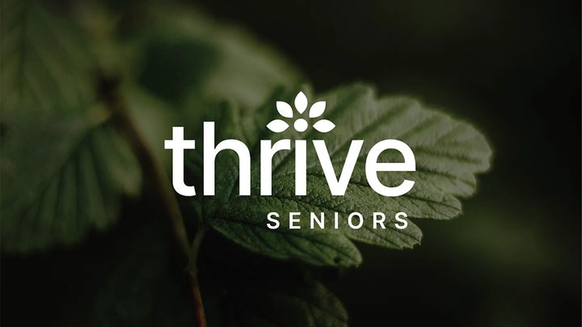 Thrive Seniors Faith & Fellowship Fall Schedule 2026 // Langley Campus
