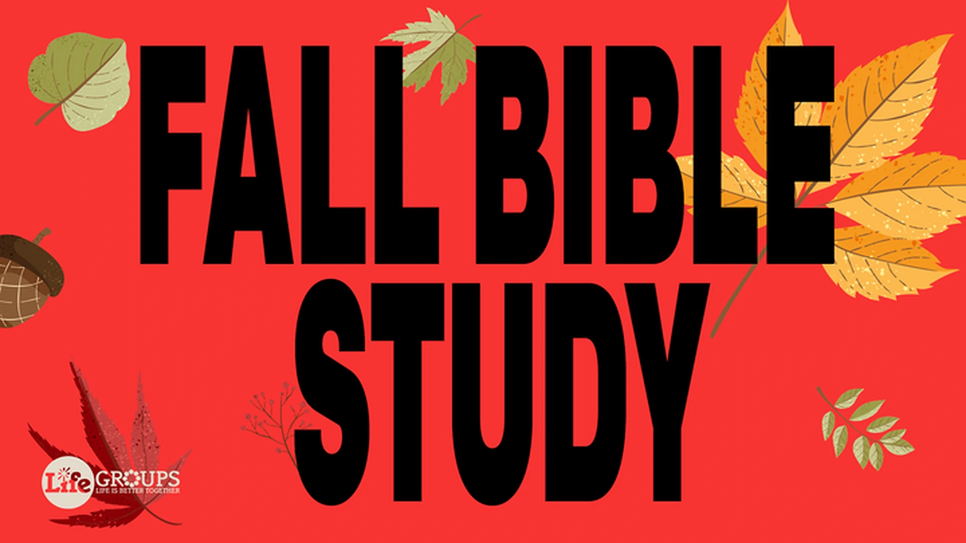 Wednesday Night Bible Study: Bible Study