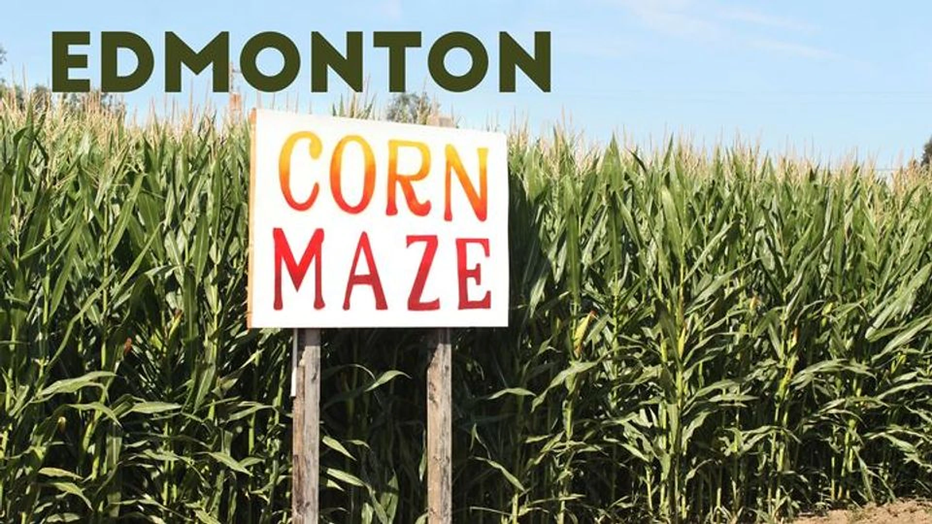 Youth Special Event (Edmonton Corn Maze)