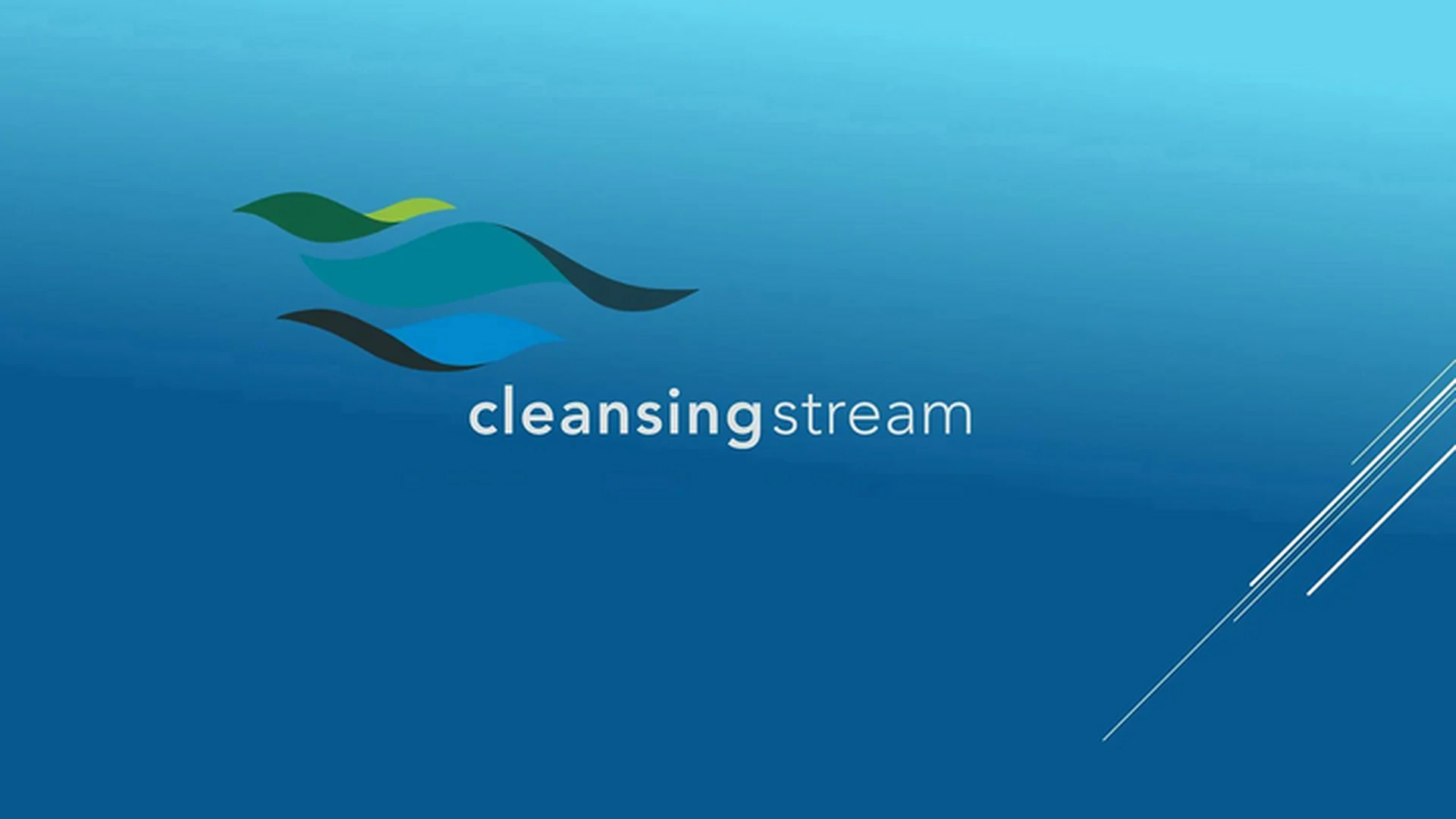 Cleansing Stream Fall 2026: Cleansing Stream Session