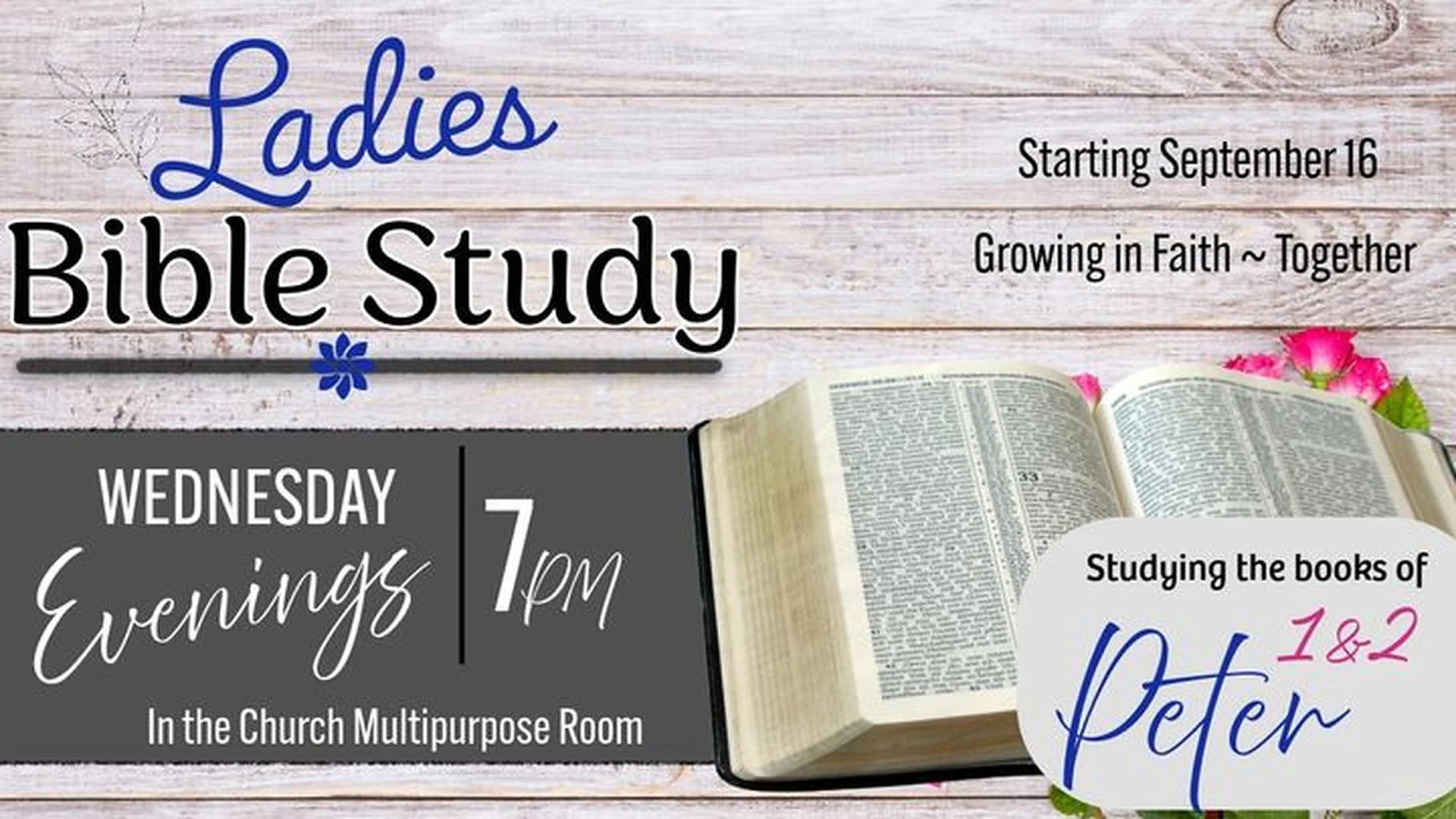 Ladies Evening Bible Study