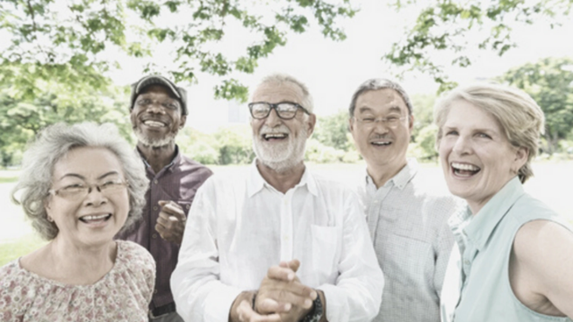 55+ Fellowship: 55+ Fellowship