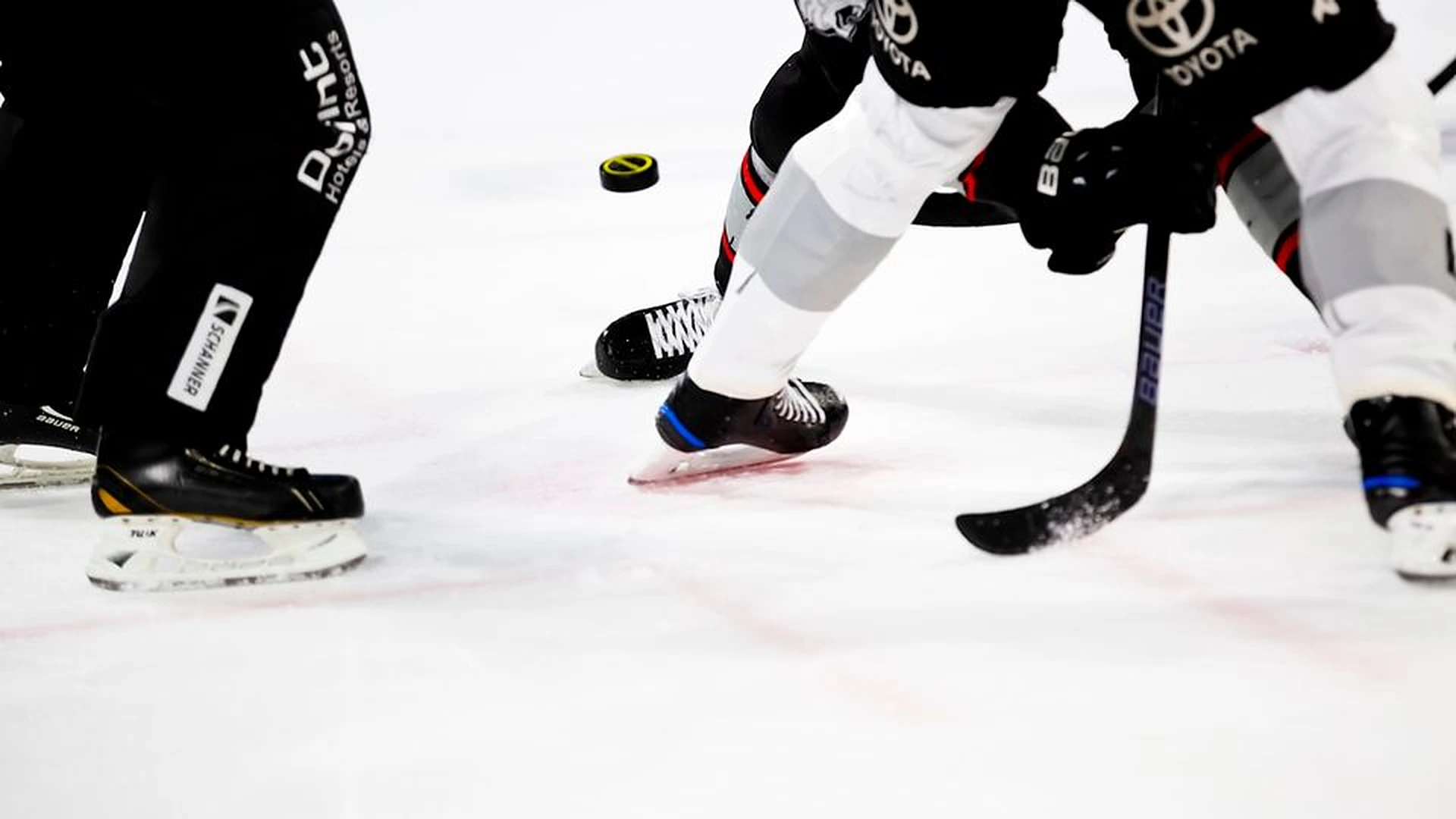 Men's Hockey Night