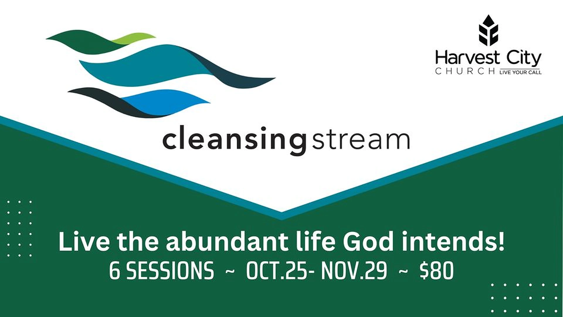 Cleansing stream seminar
