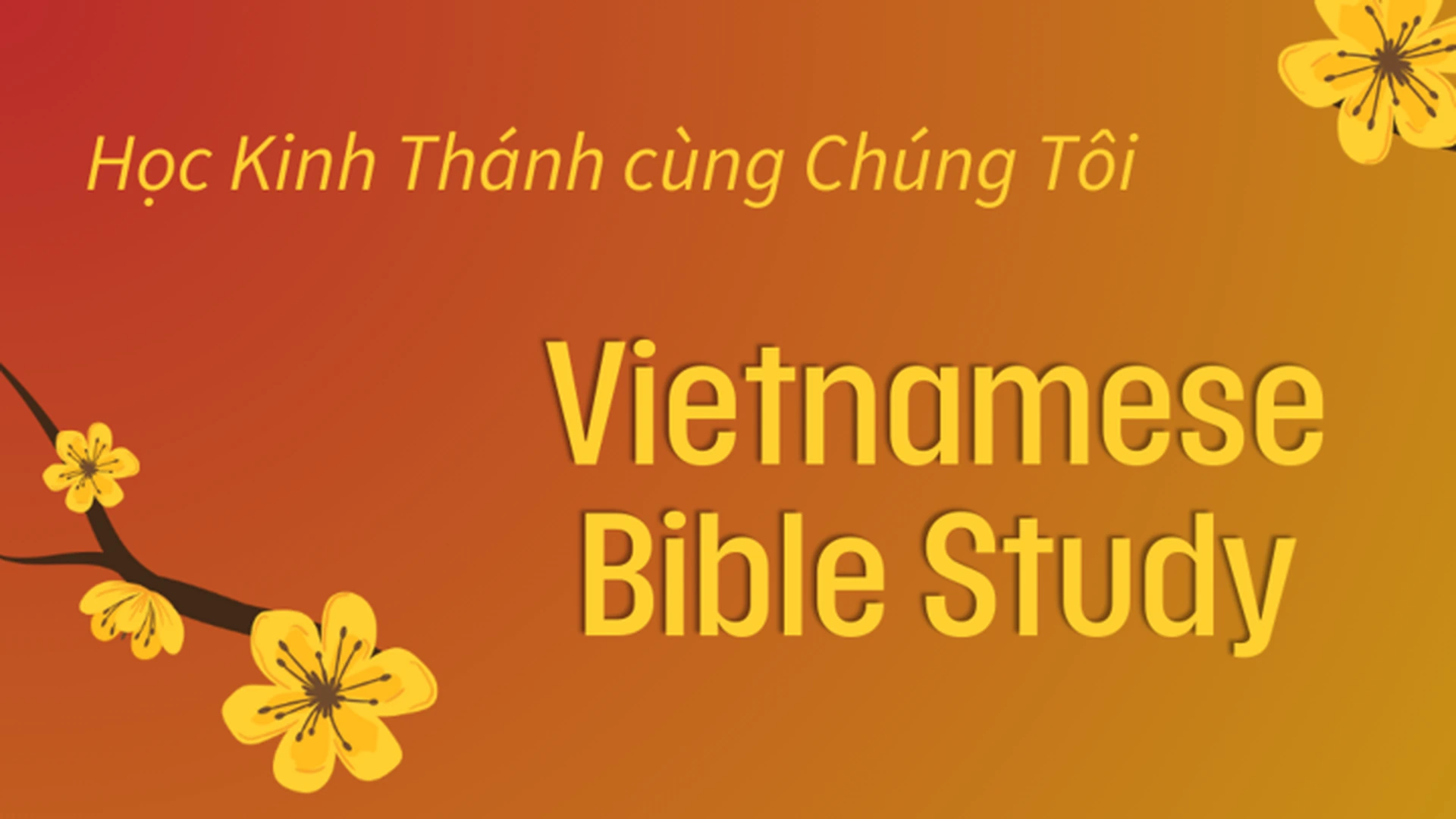 Vietnamese Bible Study: Bible Study