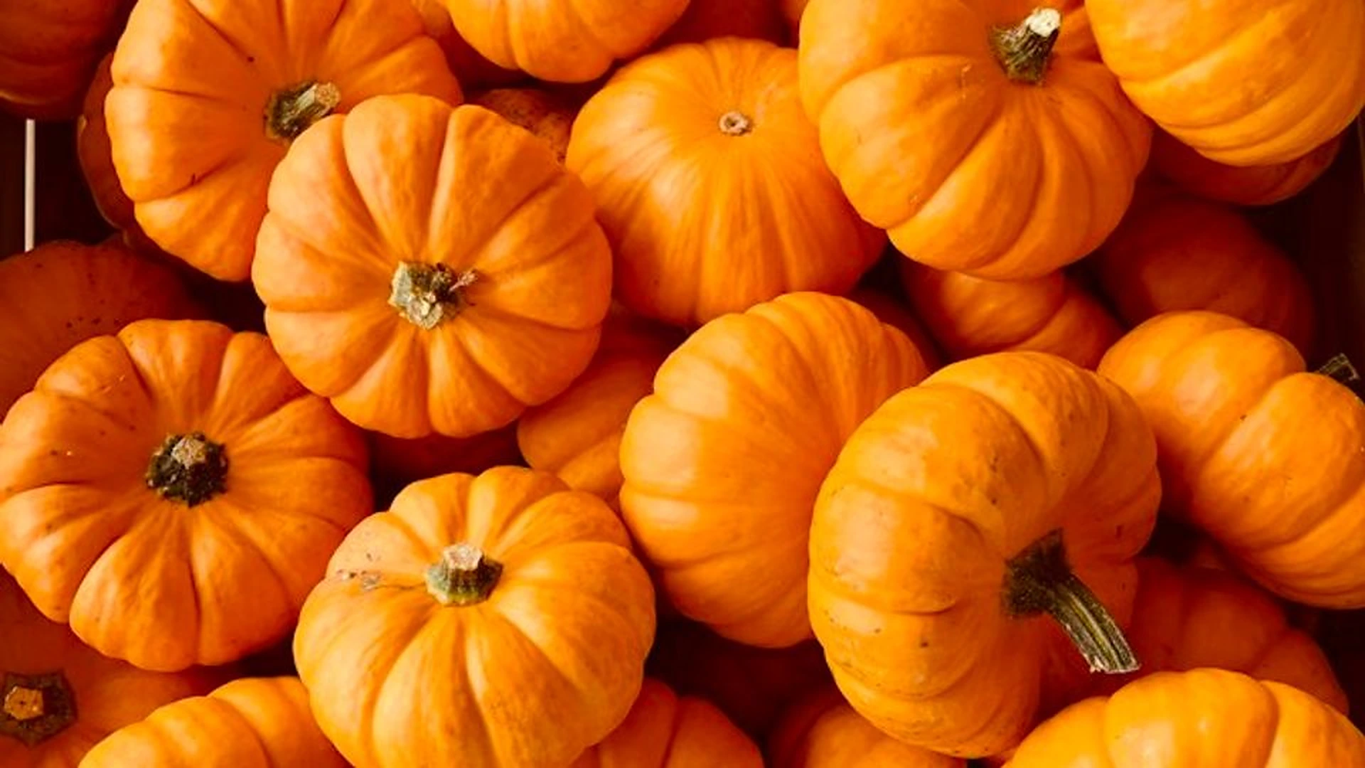 Pumpkins & Pajamas - Family Event