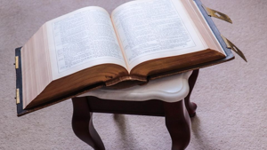 Ladies Bible Study: Meg