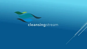 Cleansing Stream Fall 2026: Cleansing Stream Session
