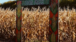 Senior Youth at Amaze in Corn