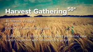 Harvest Group 50+
