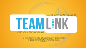 TeamLink