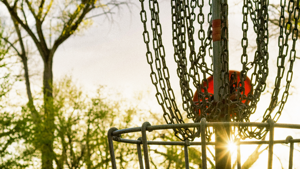 Men's Disc Golf