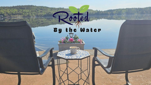 'Rooted' by the Water